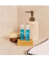 Alfaparf Milano eterinis aliejus plaukams, 12 x 13 ml.